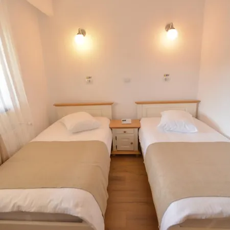 Affittacamere Casa Anastasia Vişeu de Sus