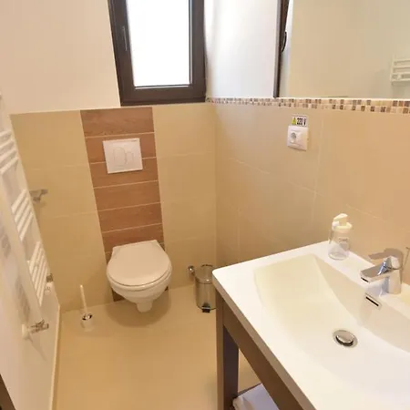 Casa Anastasia Vişeu de Sus